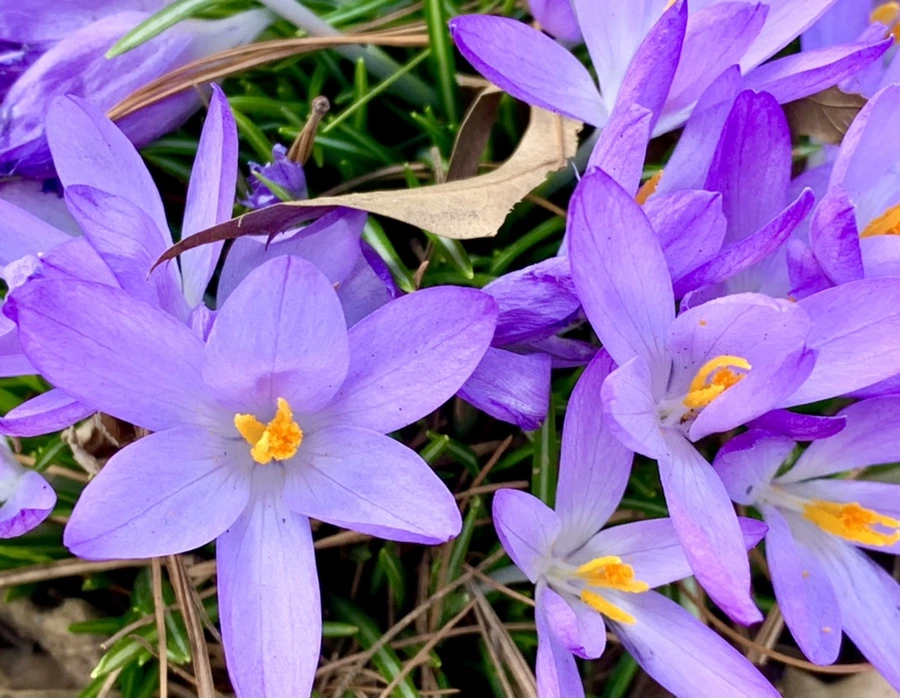 IMG_1269.jpg?type=w966