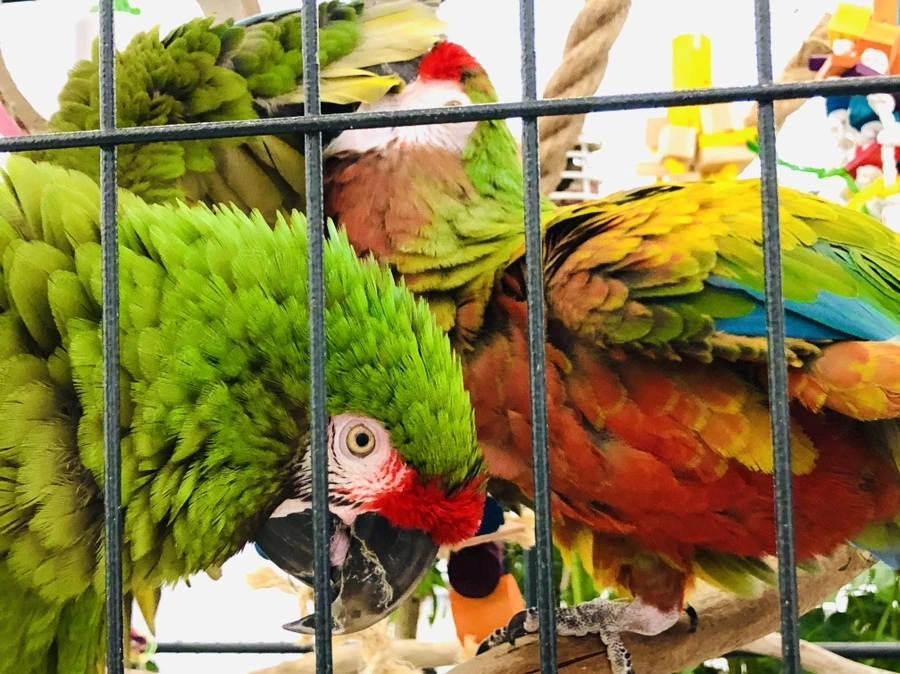 IMG_6709.jpg?type=w966