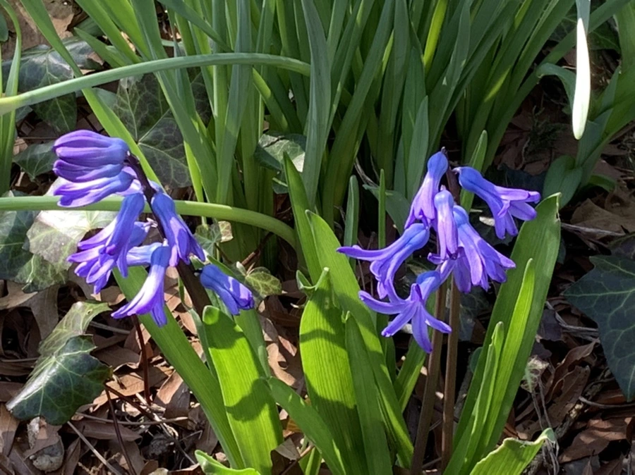 IMG_5787.jpg?type=w966