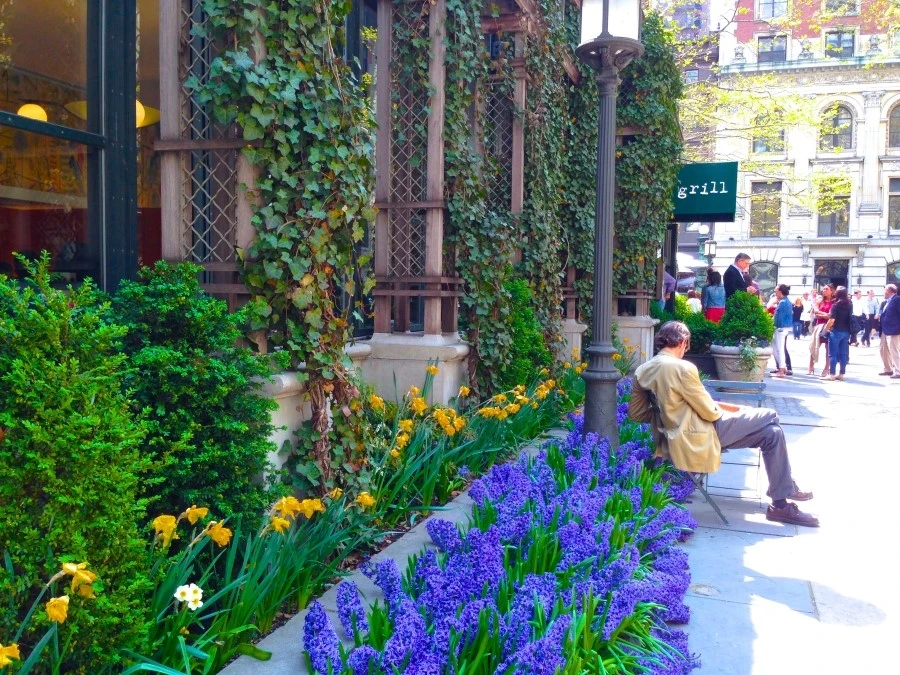 IMG_4436.JPG?type=w1