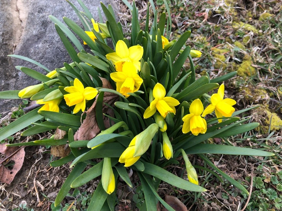 IMG_3656.jpg?type=w966