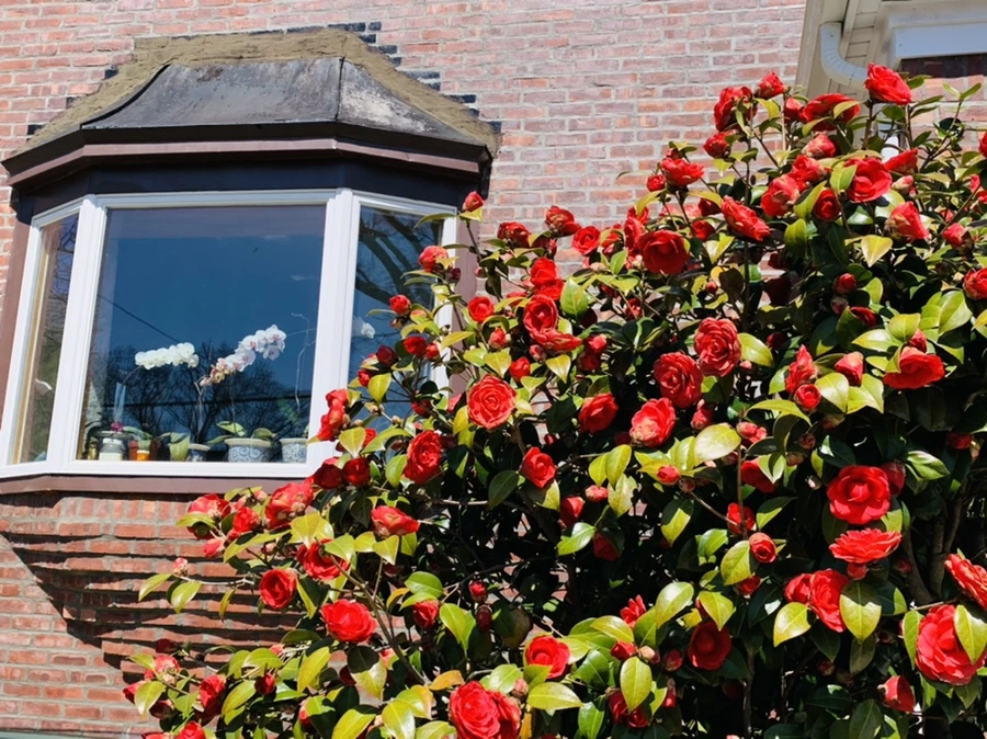 IMG_8137.jpg?type=w966