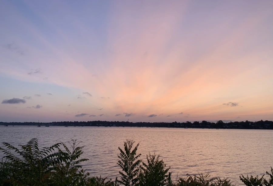 IMG_5353.jpg?type=w966