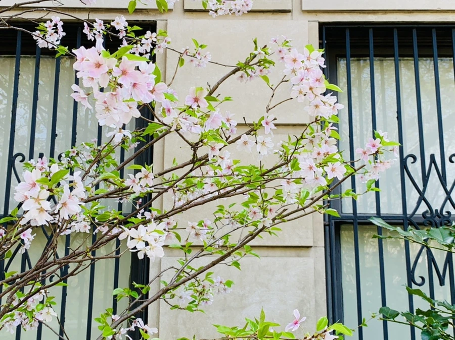 IMG_0083.jpg?type=w966