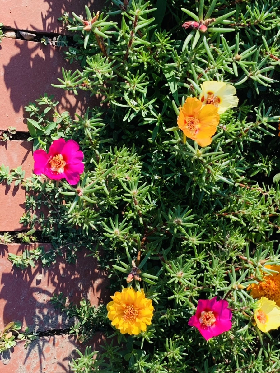 IMG_8406.jpg?type=w966