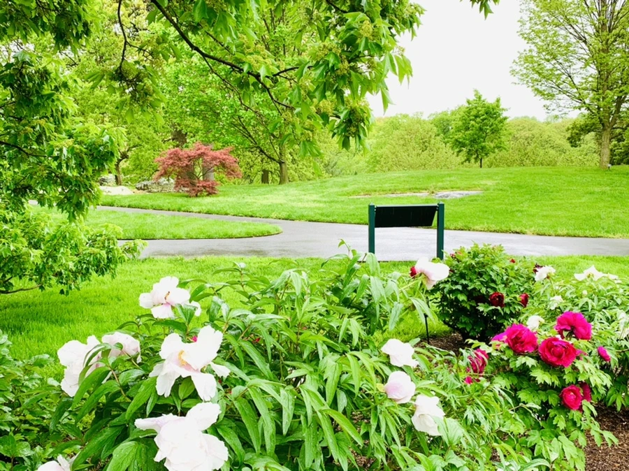 IMG_9956.jpg?type=w966