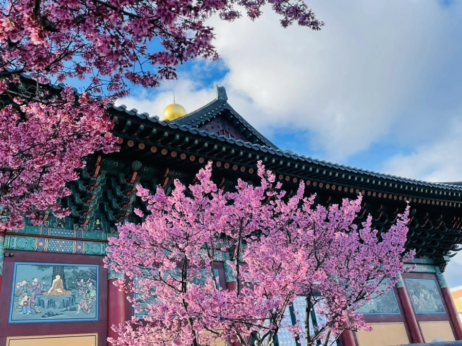 IMG_7564.jpg?type=w966