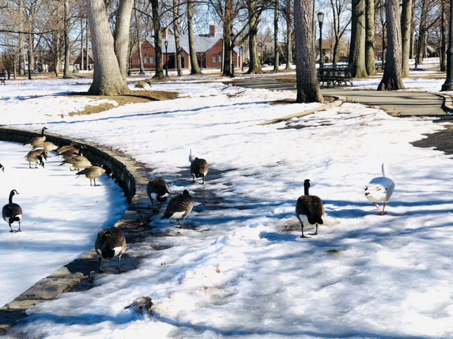 IMG_4931.jpg?type=w966