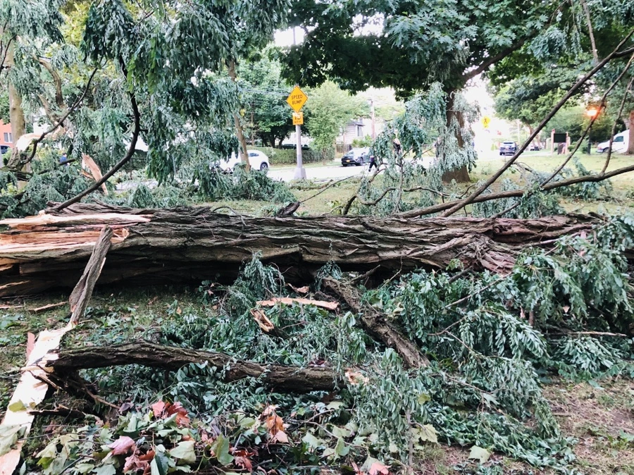 IMG_5848.jpg?type=w966