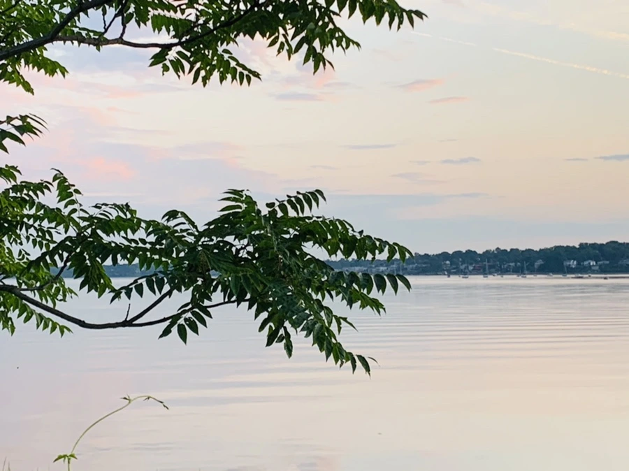 IMG_1181.jpg?type=w966