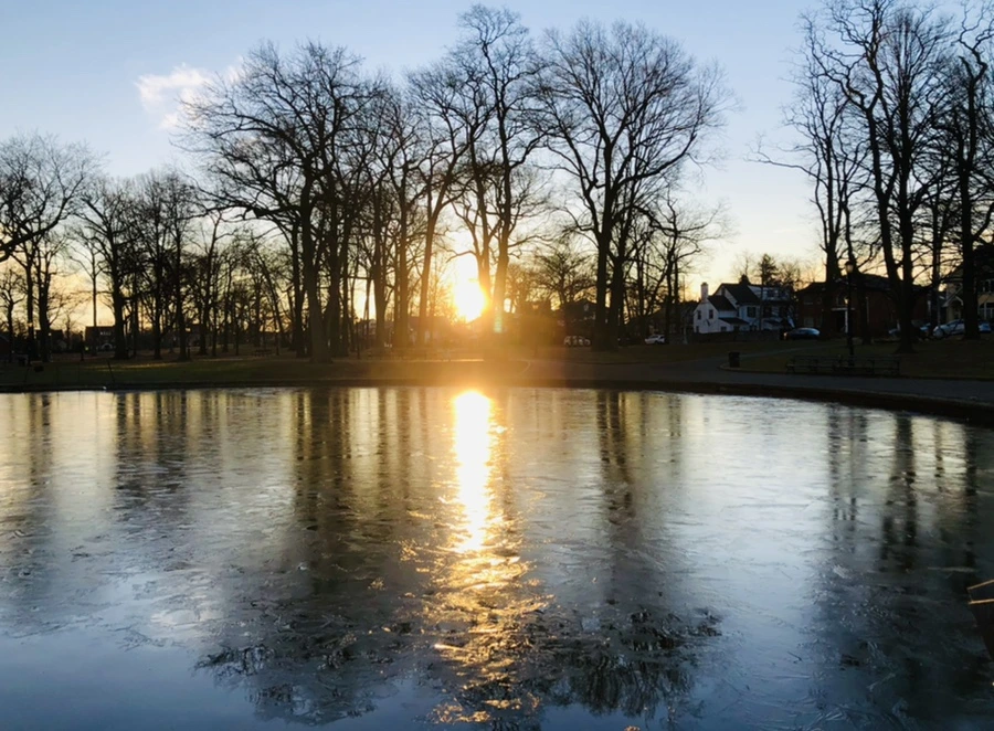 IMG_0765.jpg?type=w966