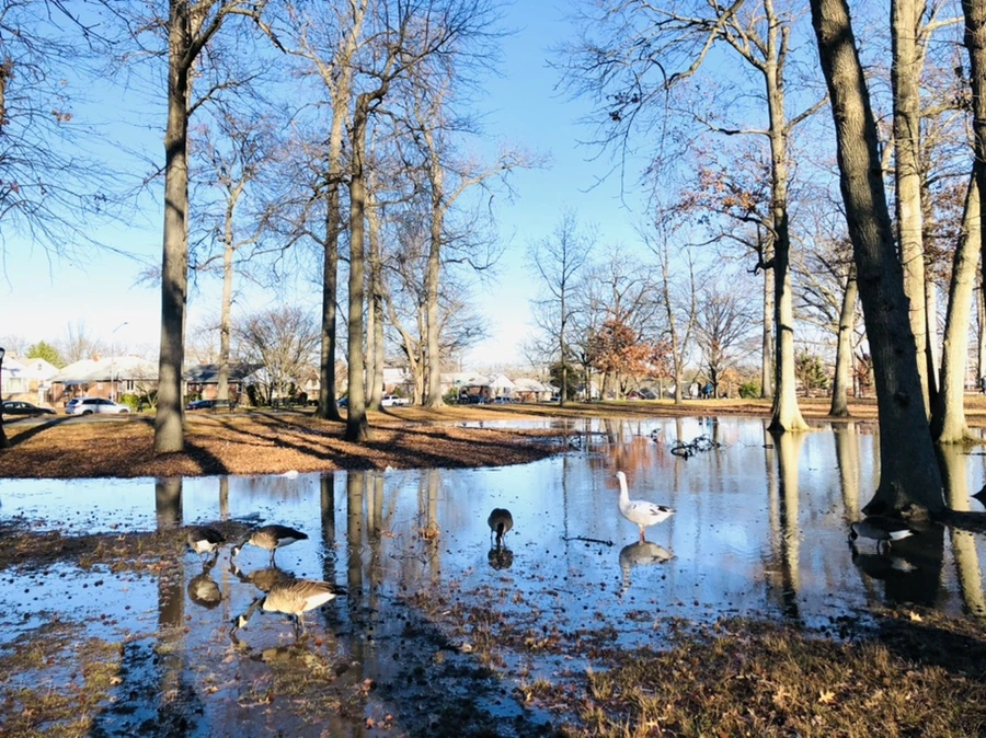 IMG_9274.jpg?type=w966