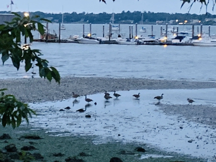 IMG_6703.jpg?type=w966