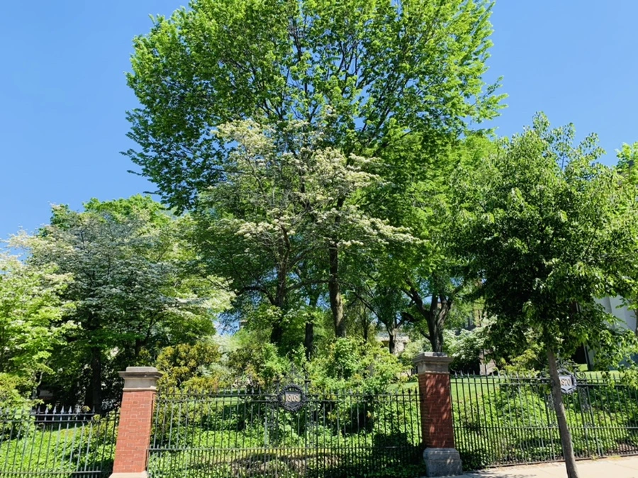 IMG_3120.jpg?type=w966