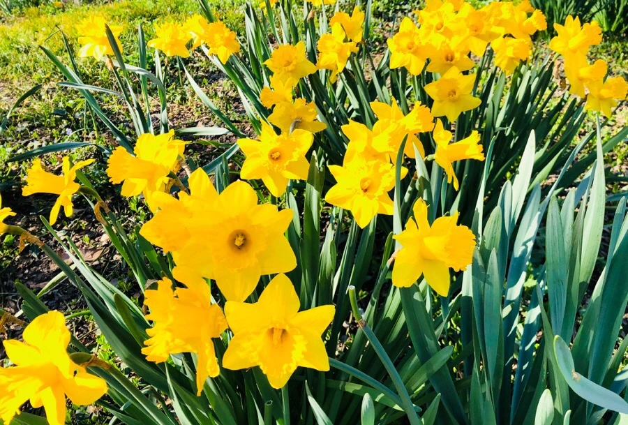 IMG_4554.jpg?type=w966