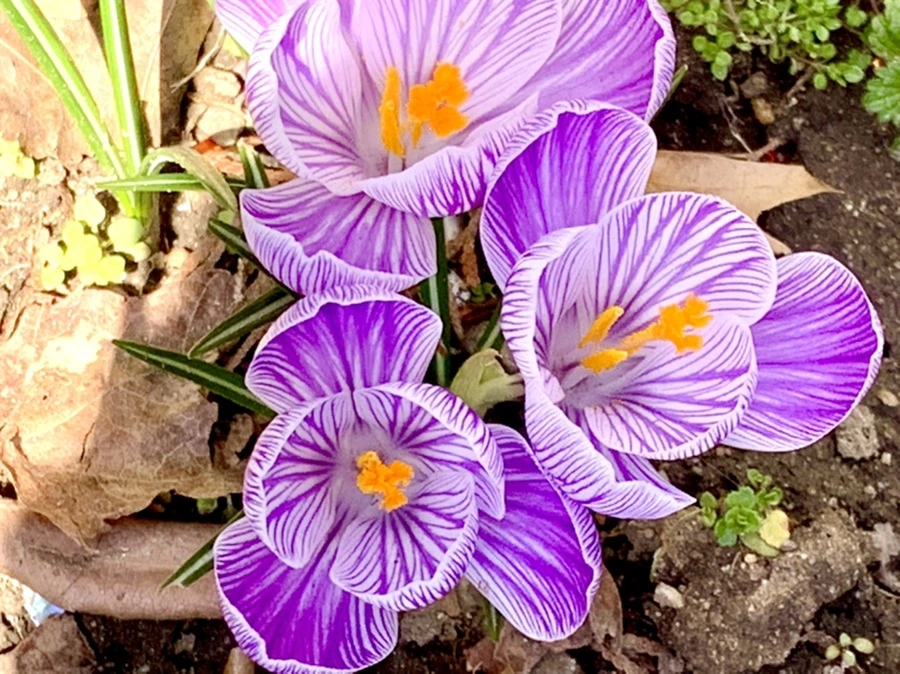 IMG_3131.jpg?type=w966