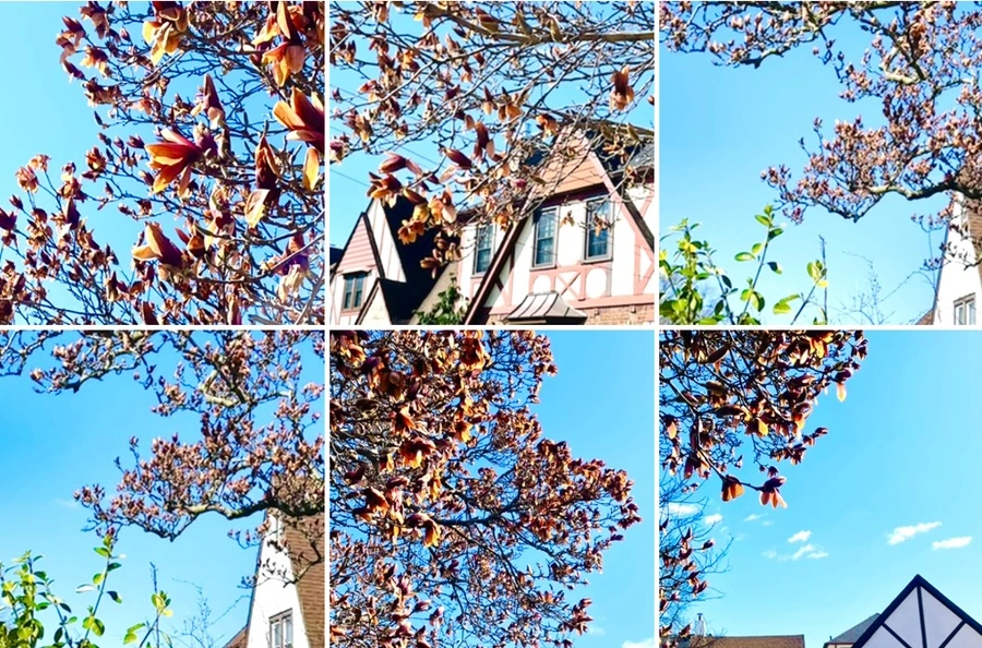 IMG_7713.jpg?type=w966