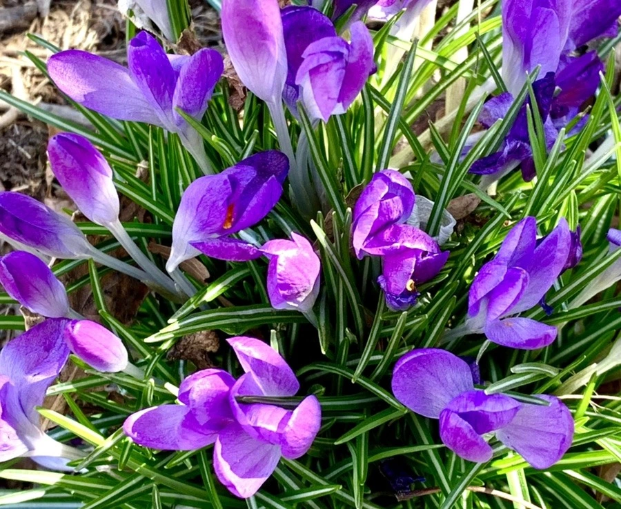 PJ1IOlWP37mnyHYaN2TnKvZQ_Dg