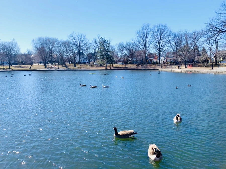 IMG_7608.jpg?type=w966