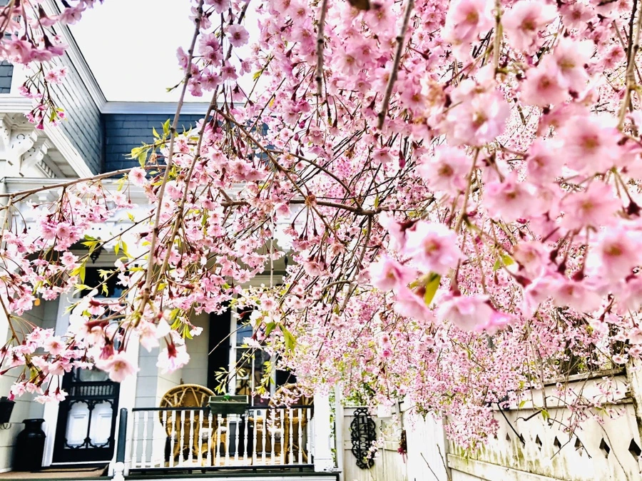 IMG_7096.jpg?type=w966