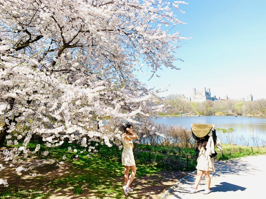 IMG_8976.jpg?type=w966