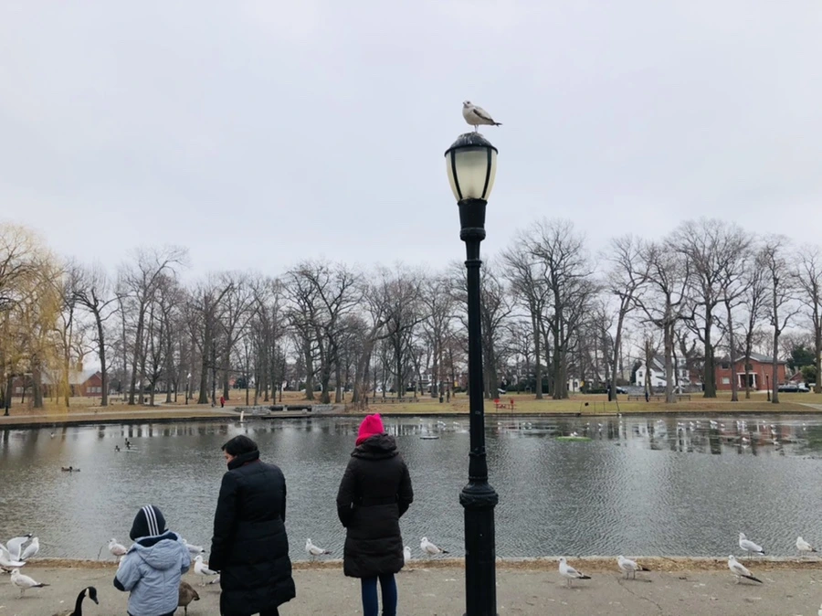 IMG_3255.jpg?type=w966