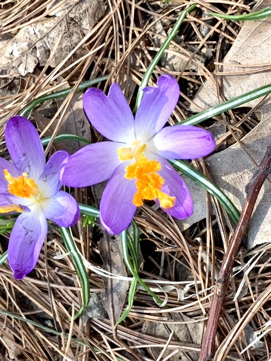 IMG_9760.jpg?type=w966