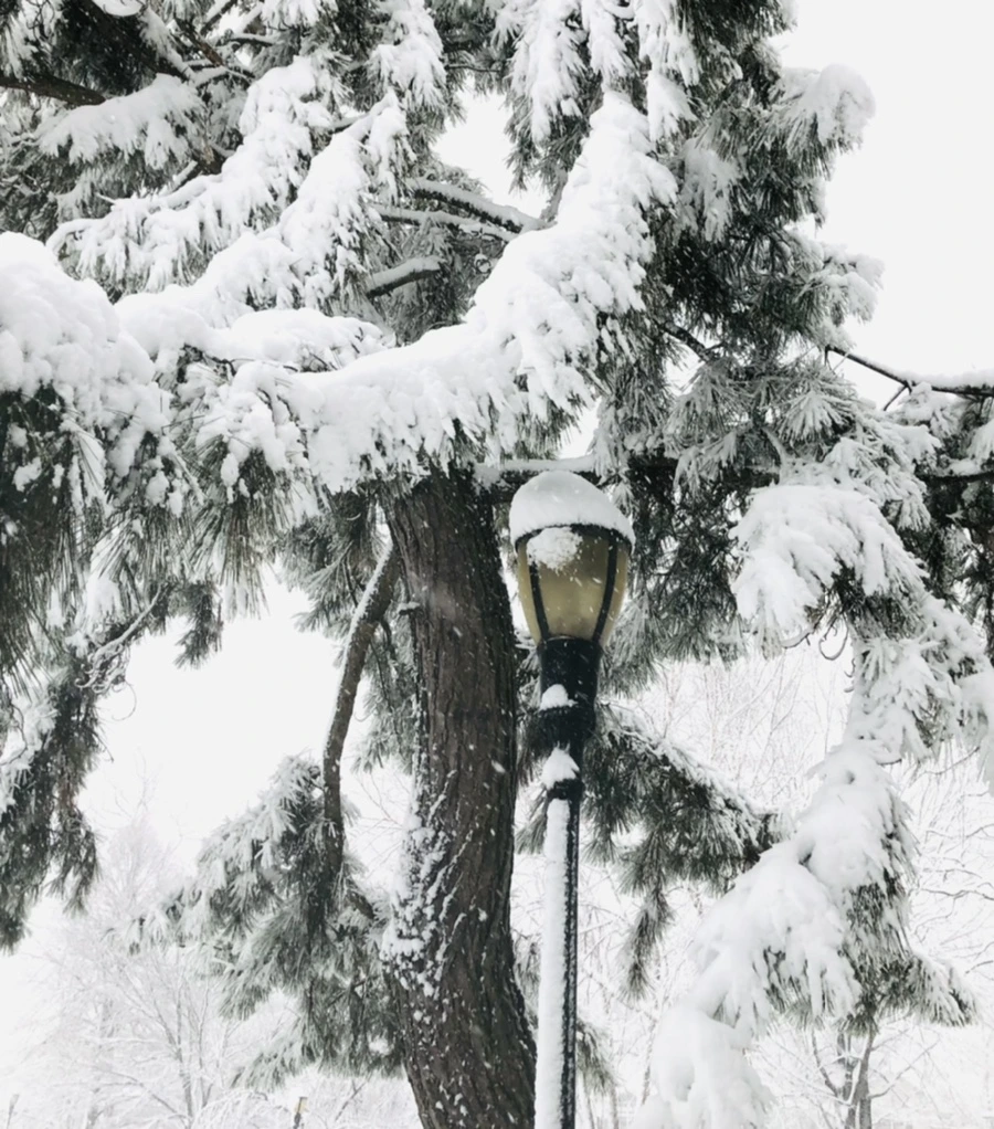 IMG_1087.jpg?type=w966