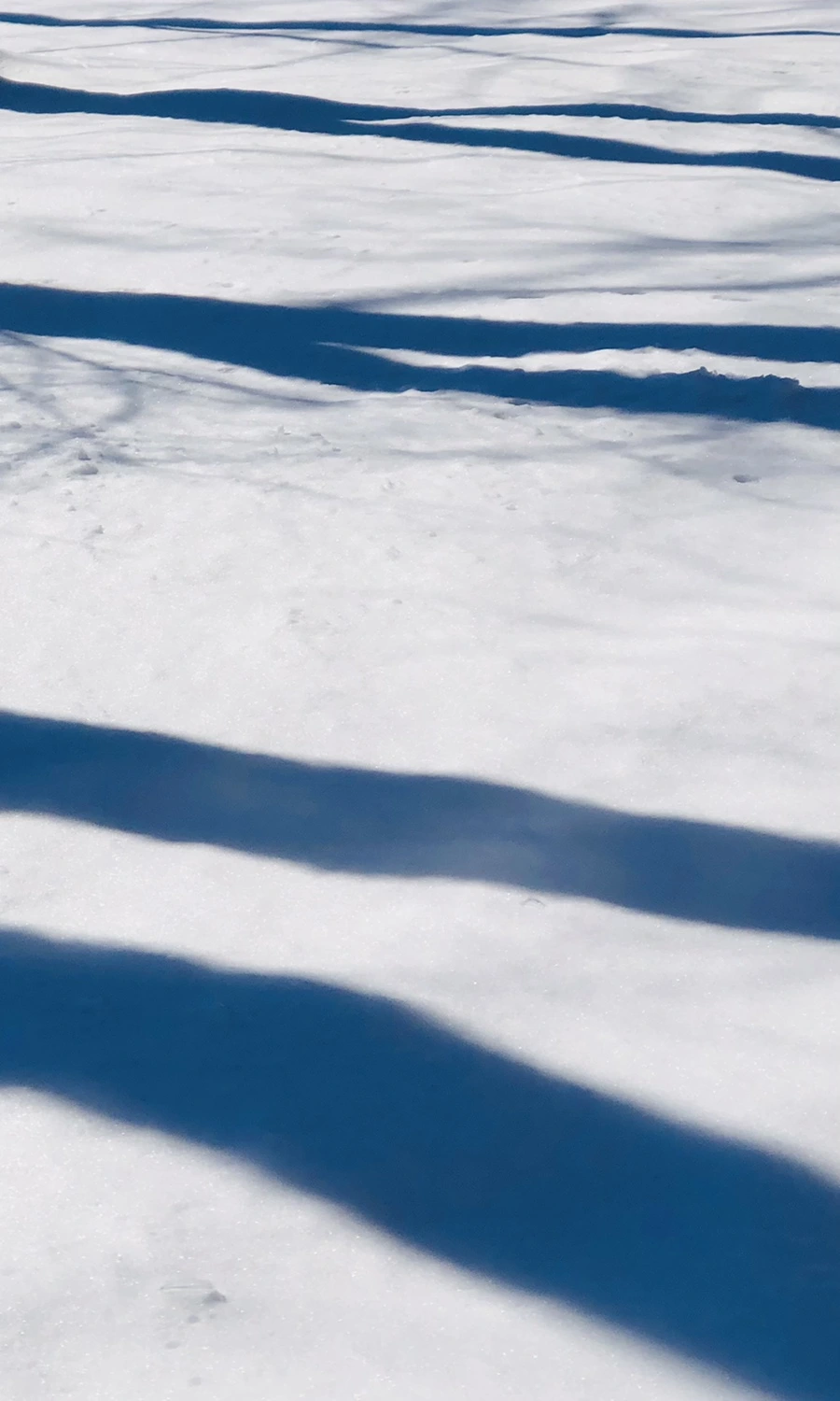 IMG_4015.jpg?type=w966