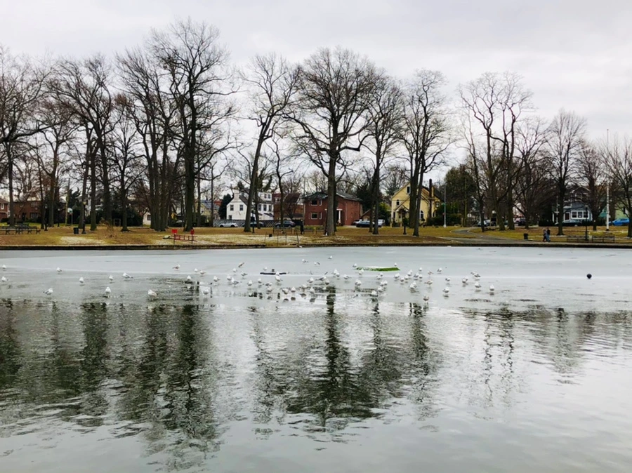 IMG_6401.jpg?type=w966