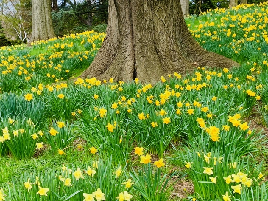 IMG_7267.jpg?type=w966