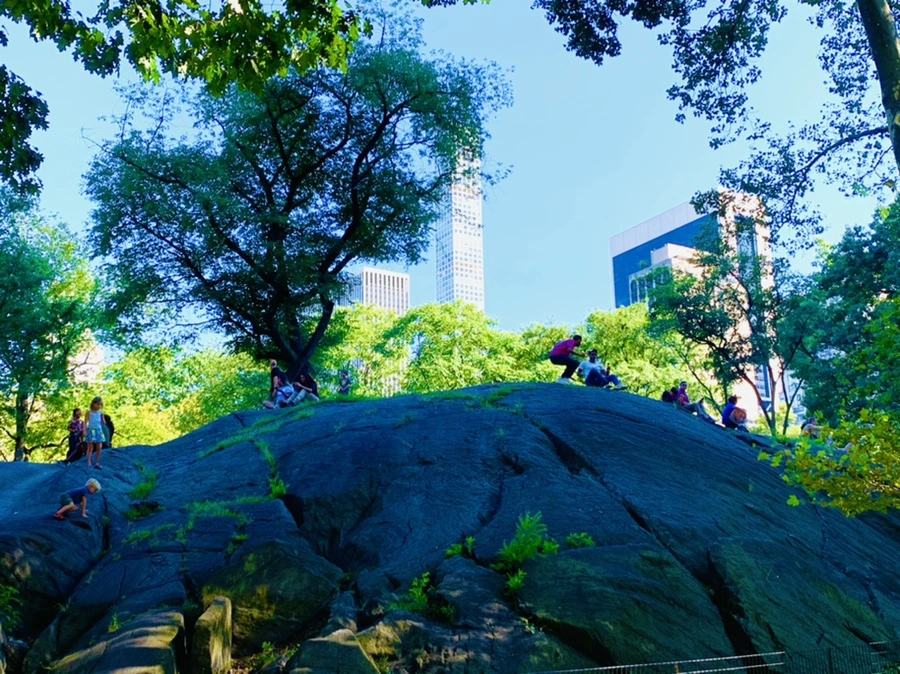 IMG_7610.jpg?type=w966