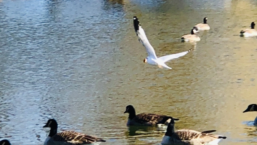 IMG_5555.jpg?type=w966