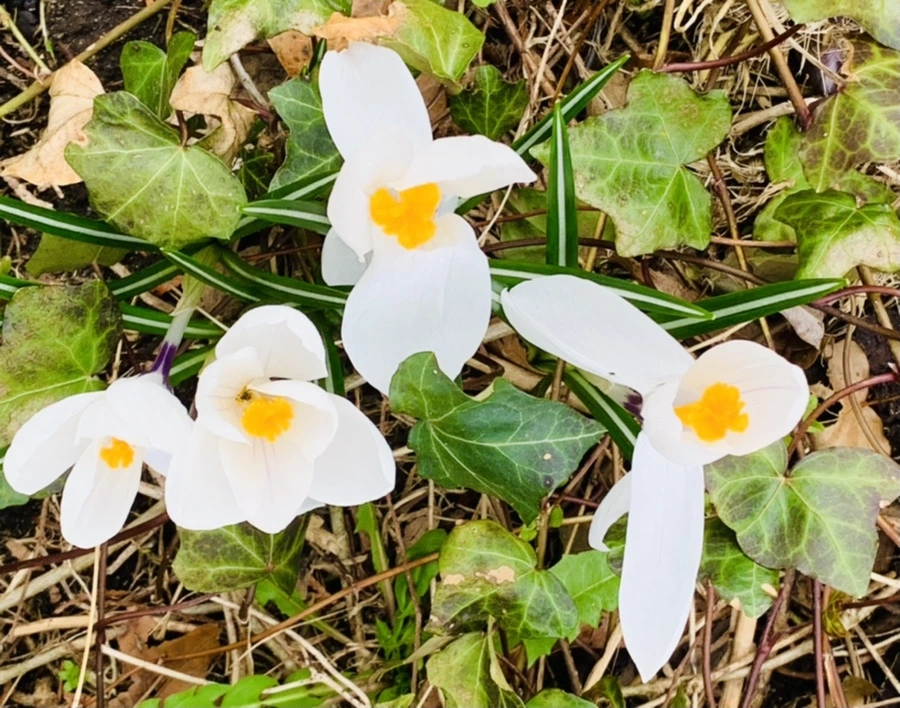 IMG_5878.jpg?type=w966