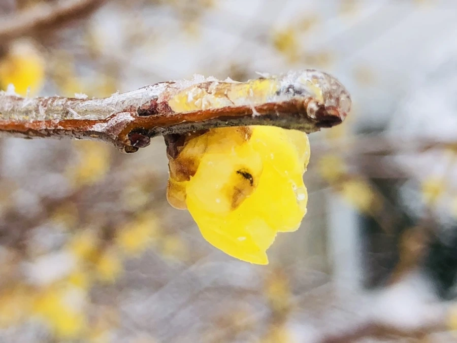 IMG_3506.jpg?type=w966