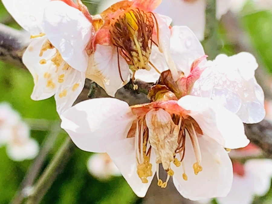 IMG_3981.jpg?type=w966