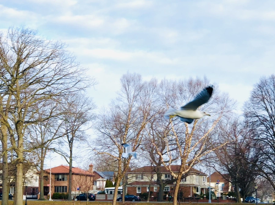 IMG_0170.jpg?type=w966