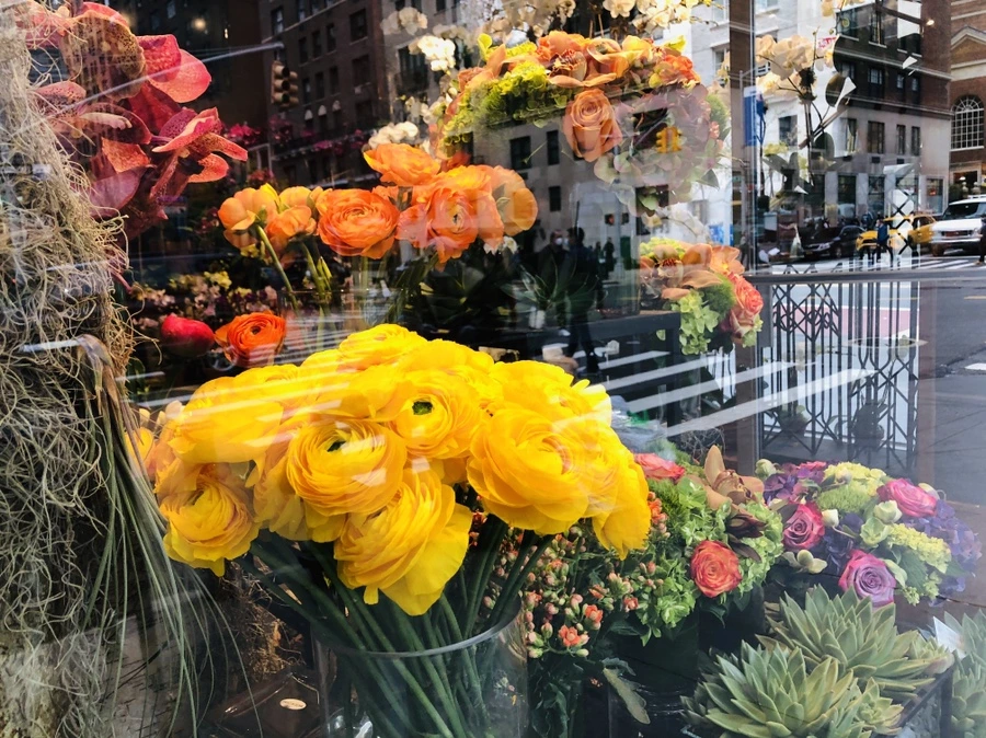 IMG_5159.jpg?type=w966