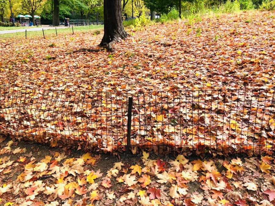 IMG_3057.jpg?type=w966