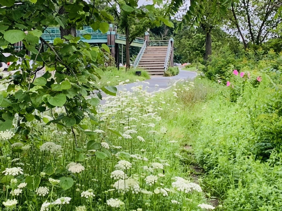 IMG_7737.jpg?type=w966