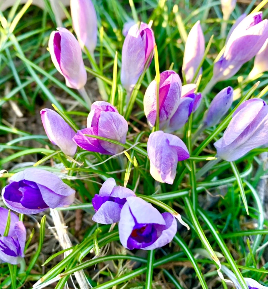 IMG_0756.jpg?type=w966