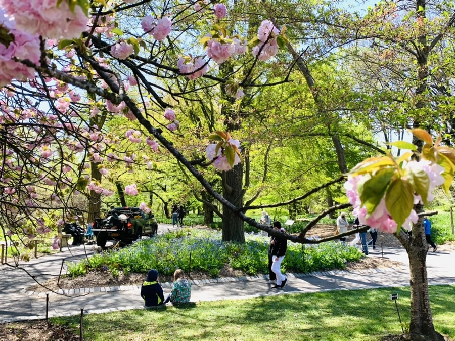 IMG_4622.jpg?type=w966