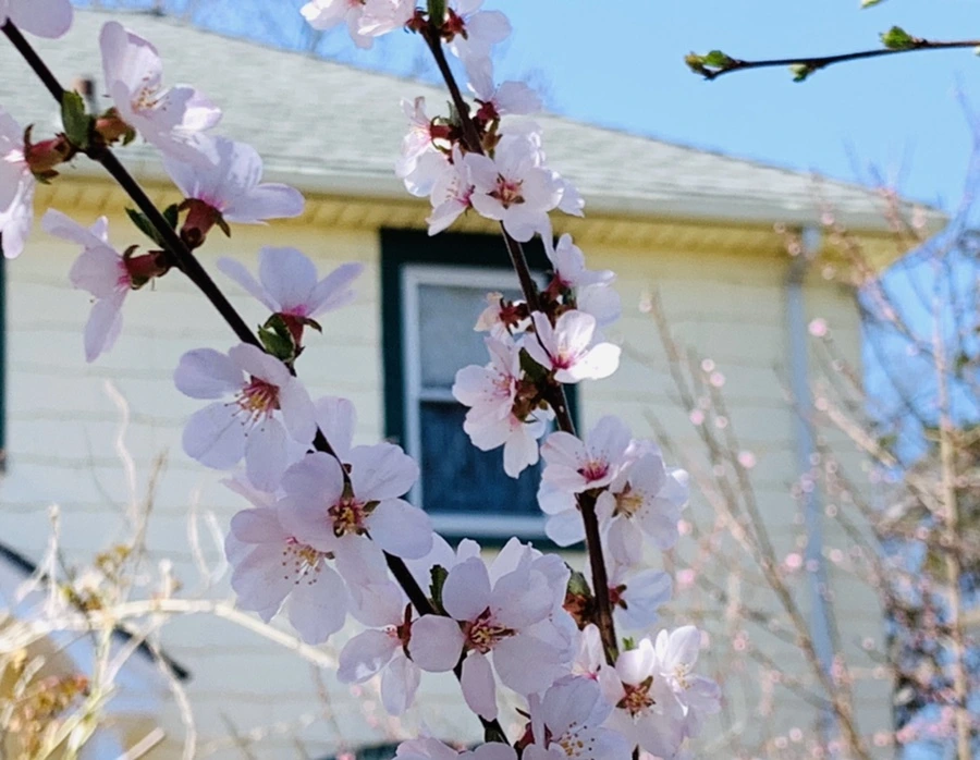 IMG_8107.jpg?type=w966