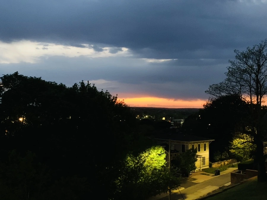 IMG_3020.jpg?type=w966