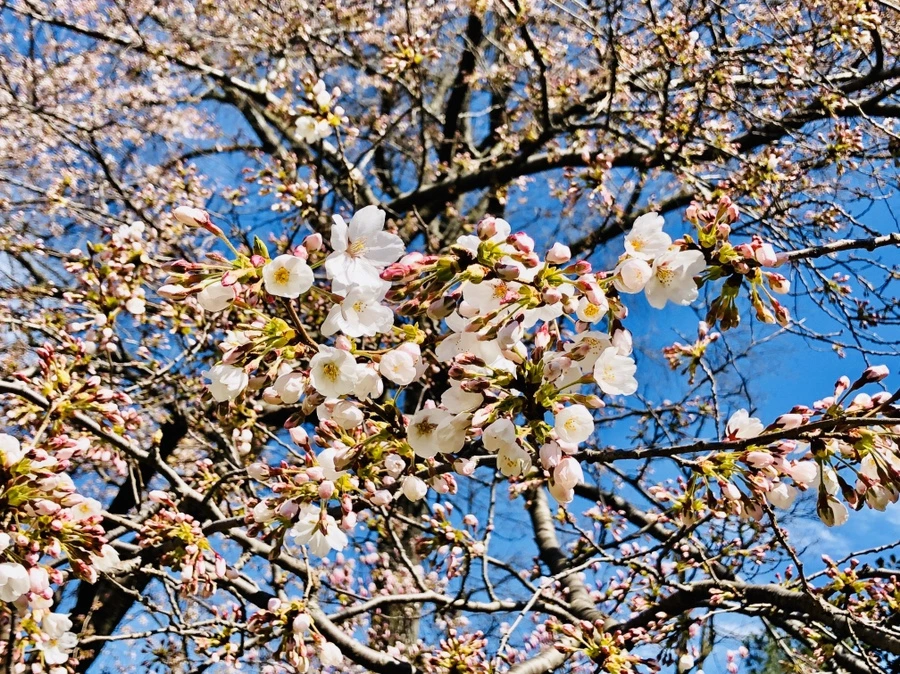 IMG_6651.jpg?type=w966