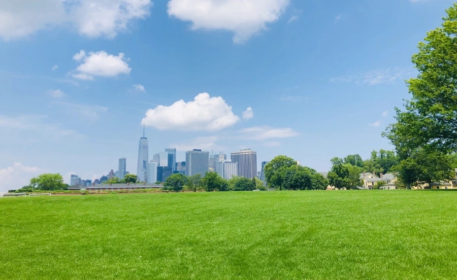 IMG_7208.jpg?type=w966