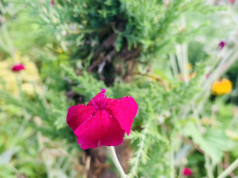 IMG_0986.jpg?type=w966