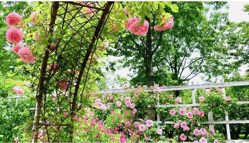 R8tM5yUO55MZOF8gebB1C1EC3OE