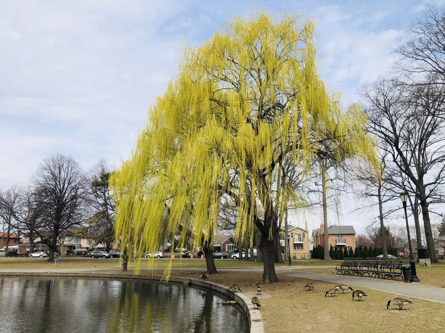 IMG_2810.jpg?type=w966