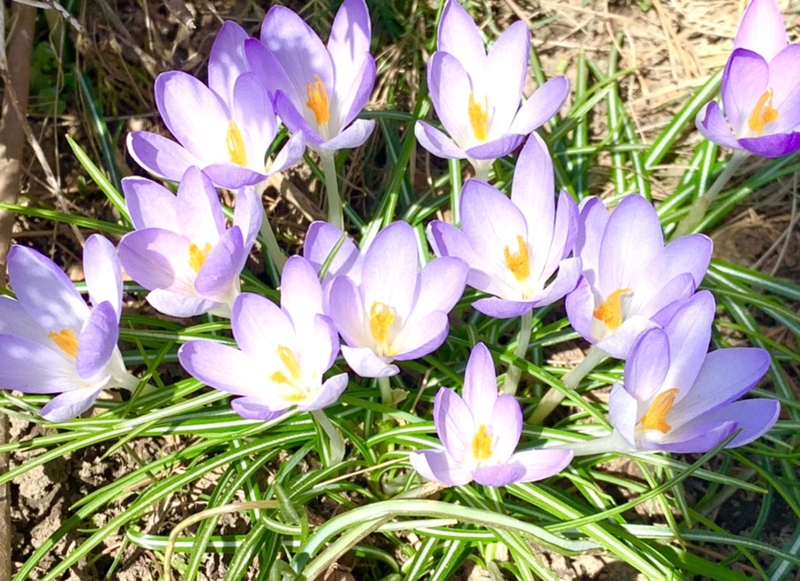 IMG_0964.jpg?type=w966